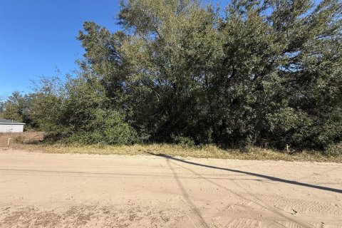 Land in Ocala, Florida № 2162519 - photo 7