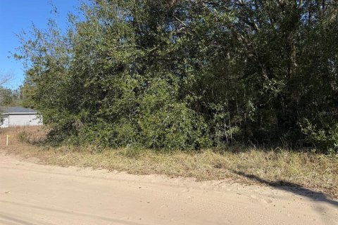 Land in Ocala, Florida № 2162519 - photo 3