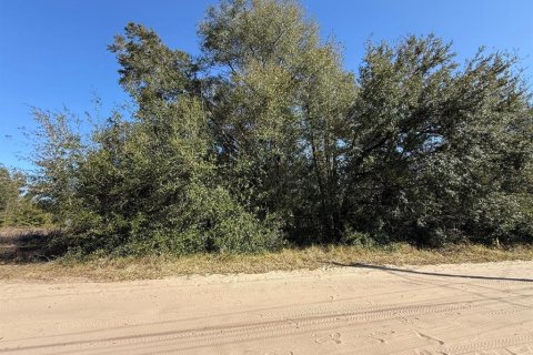 Land in Ocala, Florida № 2162519