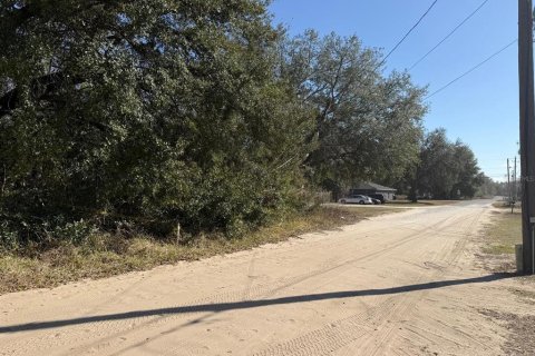 Land in Ocala, Florida № 2162519 - photo 5