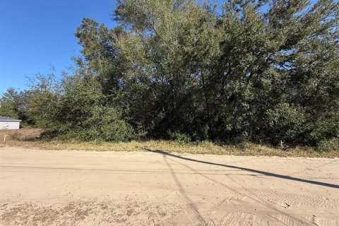Land in Ocala, Florida № 2162519 - photo 8