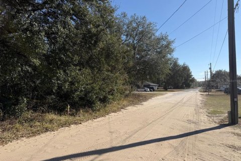 Land in Ocala, Florida № 2162519 - photo 4