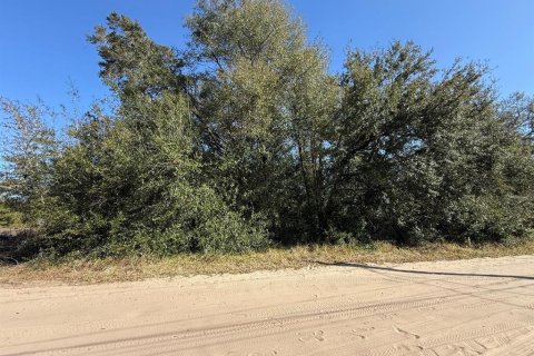 Land in Ocala, Florida № 2162519 - photo 2