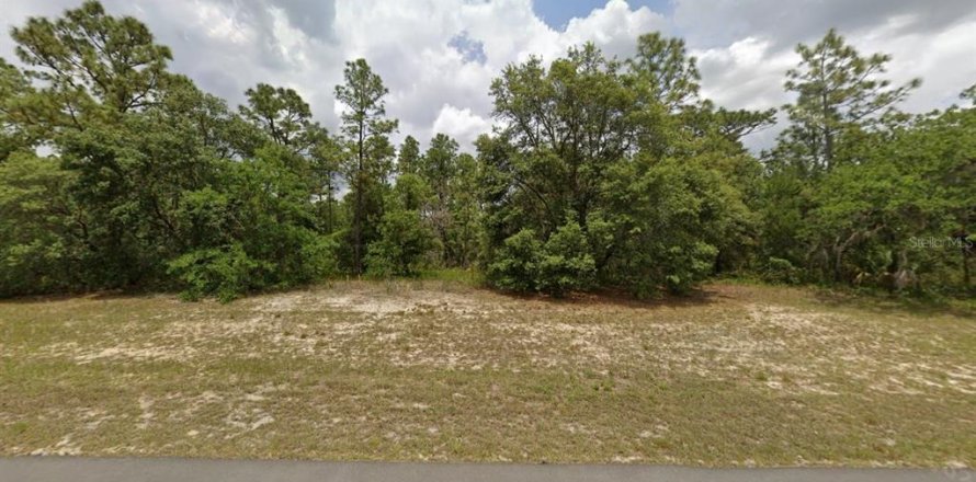 Land in Ocala, Florida № 2206271