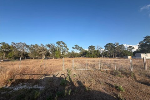 Земельный участок в Клуистон, Флорида № 2045935