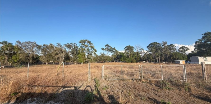 Земельный участок в Клуистон, Флорида № 2045935