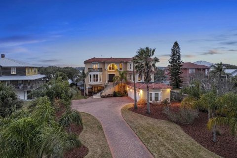Villa ou maison à vendre à Saint Augustine, Floride: 6 chambres, 637.68 m2 № 2235103 - photo 6