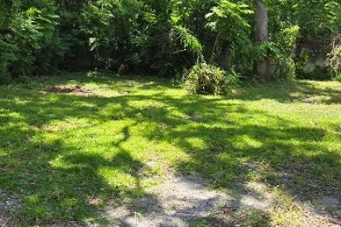 Terreno en venta en Tampa, Florida № 1911636 - foto 4
