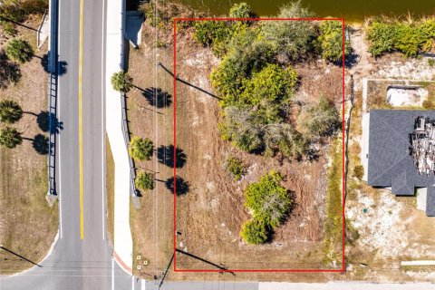 Land in Port Charlotte, Florida № 2379291 - photo 11