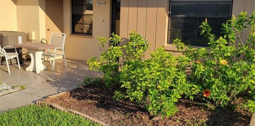 Condo in Zephyrhills, Florida, 2 bedrooms № 1617816