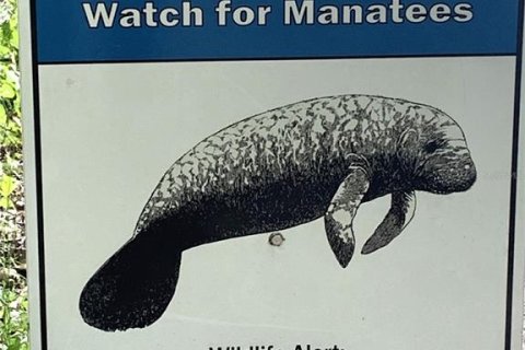 Terreno en venta en Fort MC Coy, Florida № 1749397 - foto 10