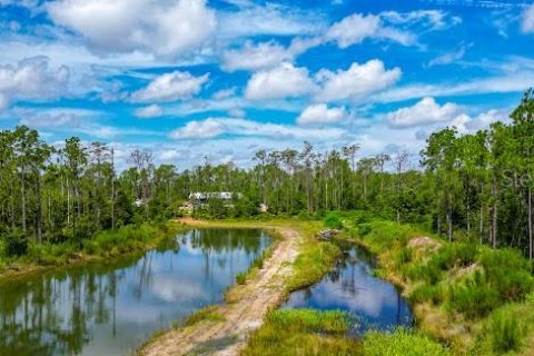 Land in Bradenton, Florida № 1904405 - photo 2