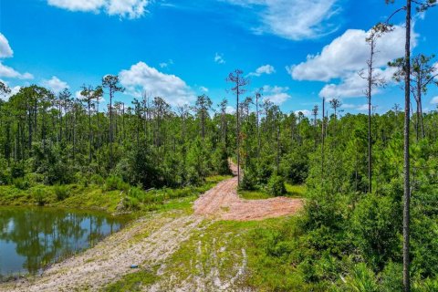 Land in Bradenton, Florida № 1904405 - photo 6