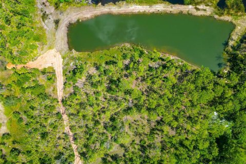 Land in Bradenton, Florida № 1904405 - photo 10