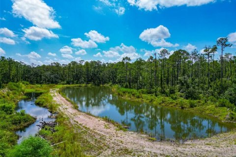 Land in Bradenton, Florida № 1904405 - photo 7