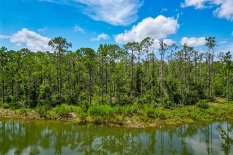 Land in Bradenton, Florida № 1904405 - photo 11