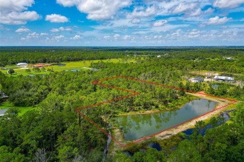 Land in Bradenton, Florida № 1904405 - photo 12