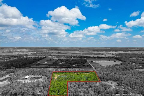 Land in Bradenton, Florida № 1904405 - photo 4
