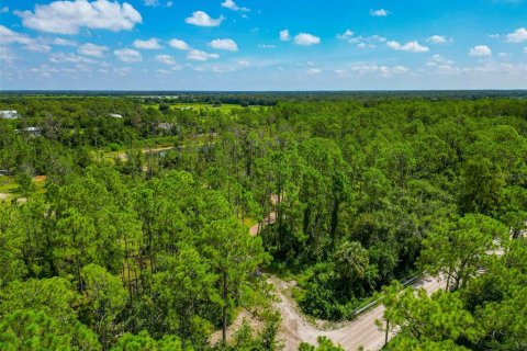 Land in Bradenton, Florida № 1904405 - photo 3