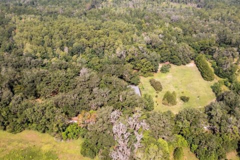 Villa ou maison à vendre à Melrose, Floride: 3 chambres, 178.19 m2 № 2219980 - photo 27