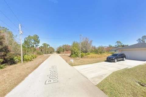 Land in Lehigh Acres, Florida № 2394379 - photo 3