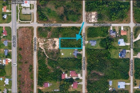Land in Lehigh Acres, Florida № 2394379 - photo 6