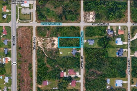 Land in Lehigh Acres, Florida № 2394379 - photo 5