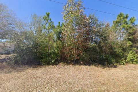 Land in Lehigh Acres, Florida № 2394379 - photo 4