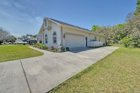 Villa ou maison à vendre à Inverness, Floride: 3 chambres, 253.62 m2 № 2398957 - photo 4