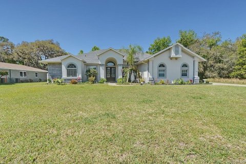 Villa ou maison à Inverness, Floride 3 chambres, 253.62 m2 № 2398957