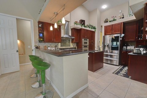 Villa ou maison à vendre à Inverness, Floride: 3 chambres, 253.62 m2 № 2398957 - photo 15