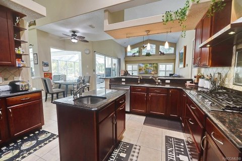 Villa ou maison à vendre à Inverness, Floride: 3 chambres, 253.62 m2 № 2398957 - photo 19