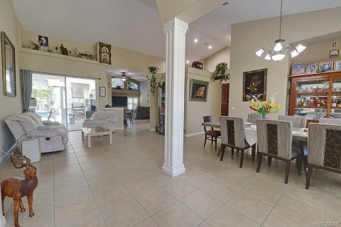 Villa ou maison à vendre à Inverness, Floride: 3 chambres, 253.62 m2 № 2398957 - photo 11