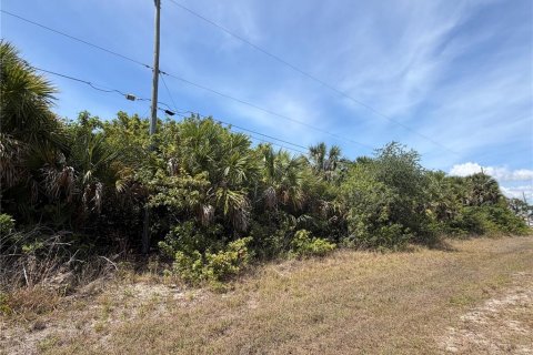 Land in Port Charlotte, Florida № 2166689 - photo 4