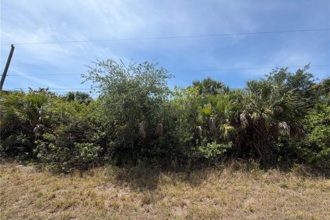 Land in Port Charlotte, Florida № 2166689 - photo 5