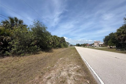 Land in Port Charlotte, Florida № 2166689 - photo 6