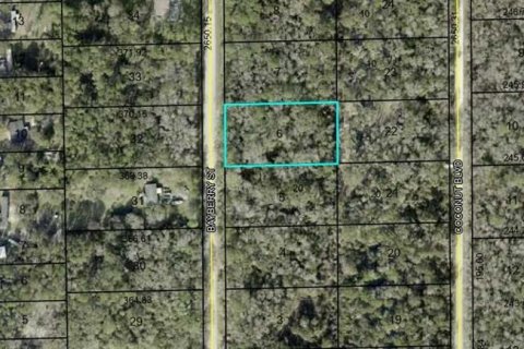 Land in Bunnell, Florida № 2161927