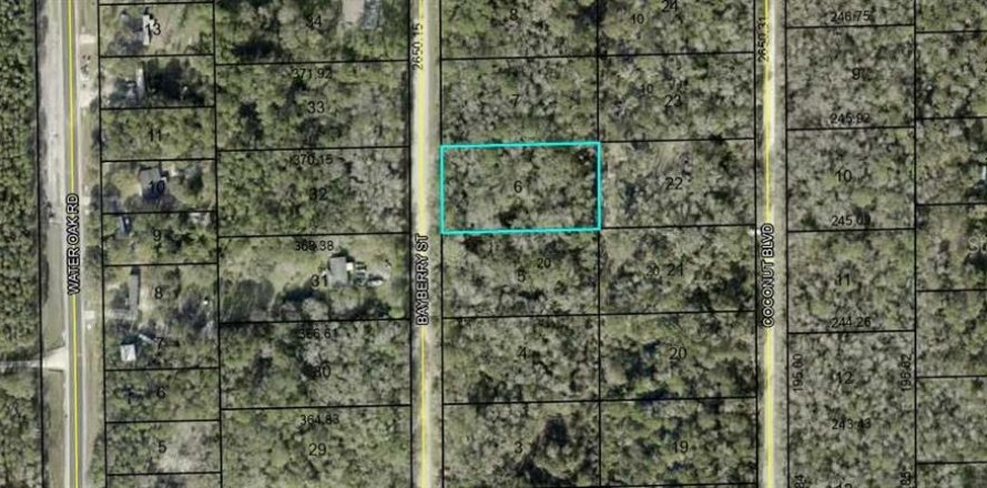 Land in Bunnell, Florida № 2161927