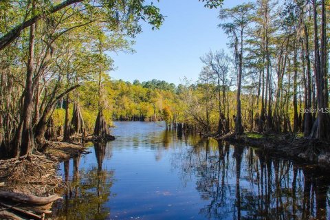 Land in Bunnell, Florida № 2161927 - photo 2