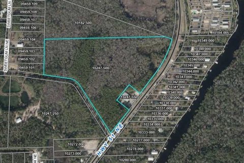 Terreno en venta en Steinhatchee, Florida № 1911977 - foto 1