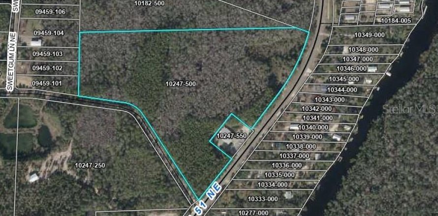 Terreno en Steinhatchee, Florida № 1911977