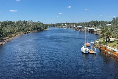 Terreno en venta en Steinhatchee, Florida № 1911977 - foto 3