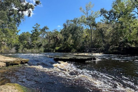 Terreno en venta en Steinhatchee, Florida № 1911977 - foto 6