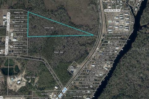 Terreno en venta en Steinhatchee, Florida № 1911977 - foto 2