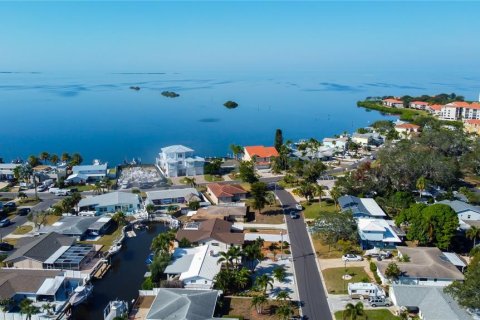 Villa ou maison à vendre à Palm Harbor, Floride: 3 chambres, 161 m2 № 2223291 - photo 2