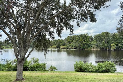 Villa ou maison à vendre à Temple Terrace, Floride: 3 chambres, 315.96 m2 № 1877262 - photo 2