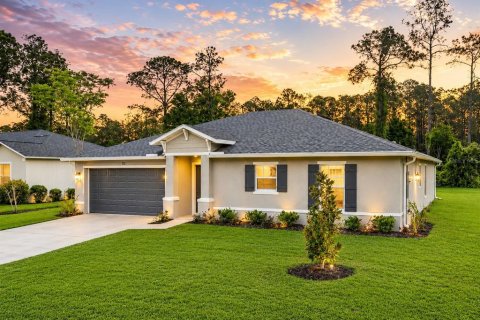 Villa ou maison à Palm Coast, Floride 3 chambres, 139.73 m2 № 2310819