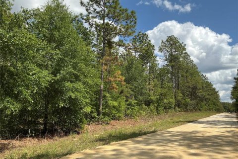 Land in Ocala, Florida № 1690306 - photo 3