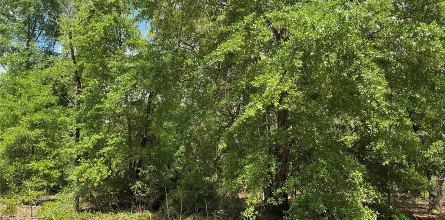 Land in Ocala, Florida № 1690306