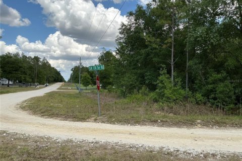 Land in Ocala, Florida № 1690306 - photo 6